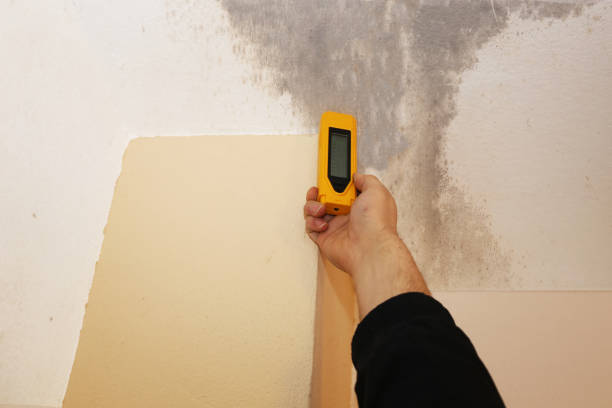 Best Post-Remediation Verification Testing  in Altamont, OR