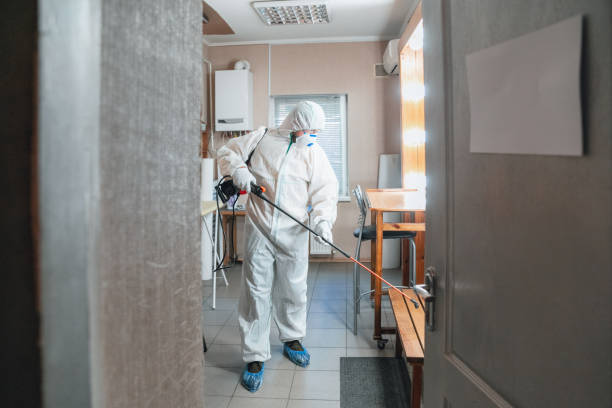 Mold Removal for HVAC Installations in Altamont, OR